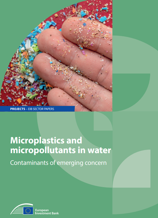 Microplastics and Micropollutants in Water