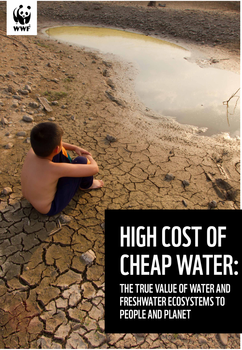 High Cost of Cheap Water: The True Value of Water and Freshwater Ecosystems to People and Planet