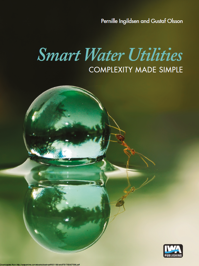  Smart Water Utilities - Complexity Made Simple