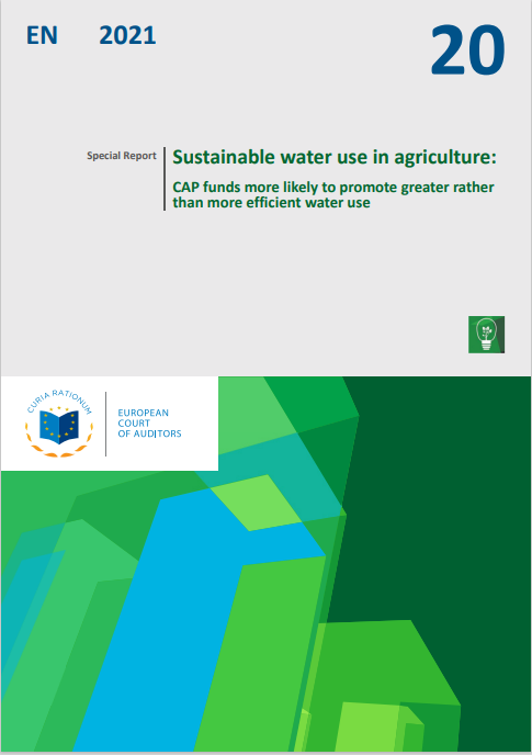 Sustainable water use in agriculture: CAP funds more likely to promote greater rather  than more efficient water use